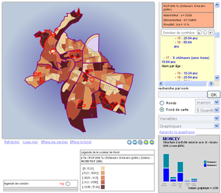 Carto Lyon 2006